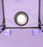 Secret Dome Bukkake Bondage Box Purple